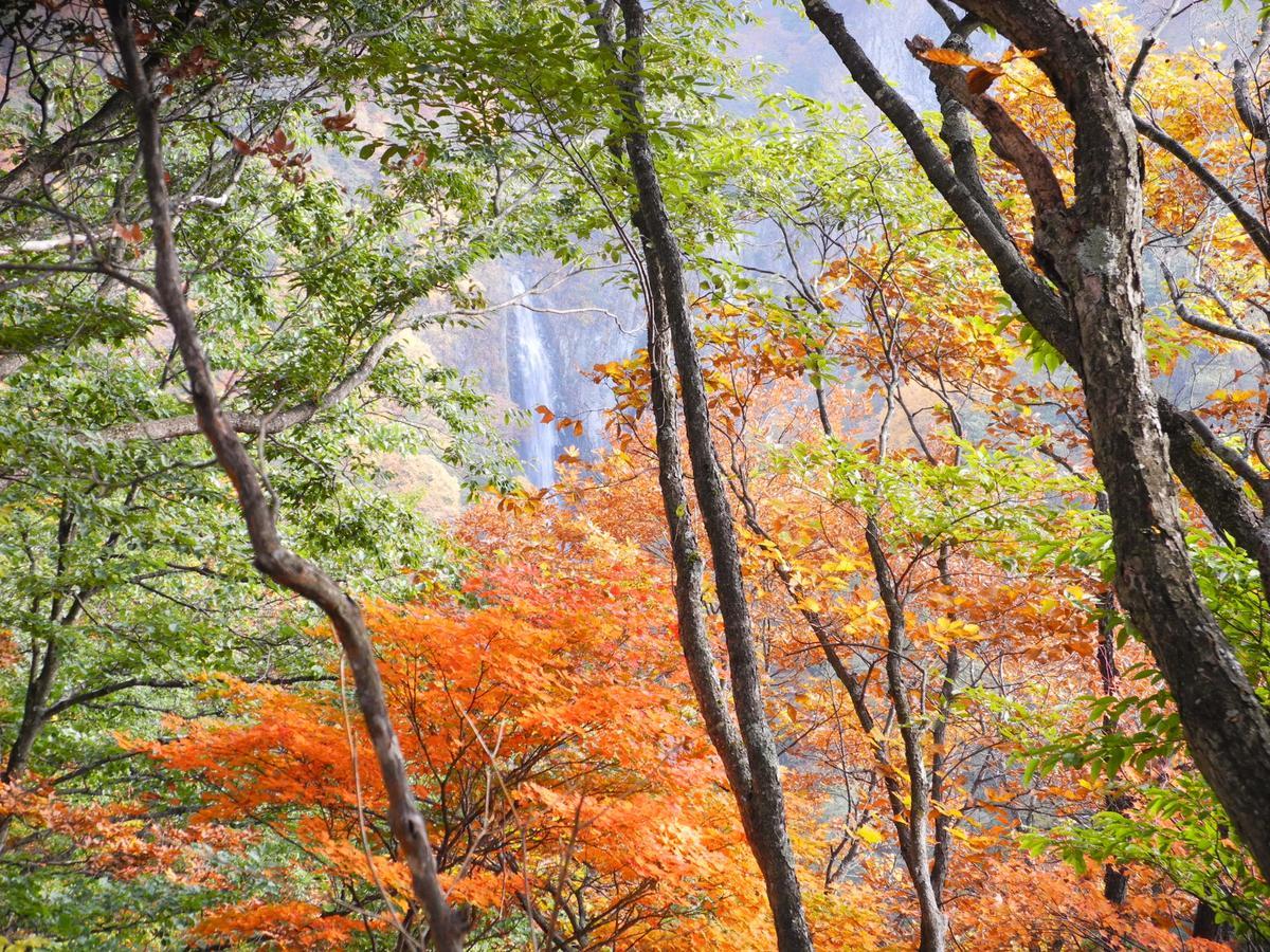 Yudanaka Onsen Yamazakiya Hotell Yamanouchi  Exteriör bild